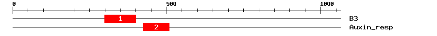 Signature Domain