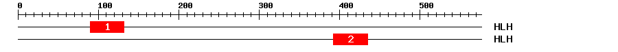 Signature Domain