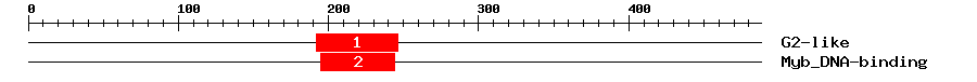 Signature Domain