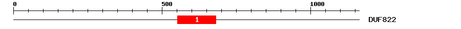 Signature Domain