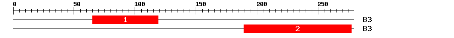 Signature Domain