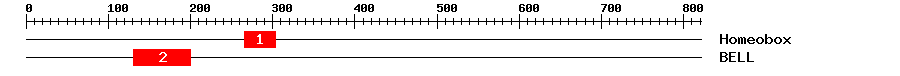 Signature Domain