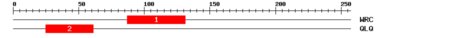 Signature Domain