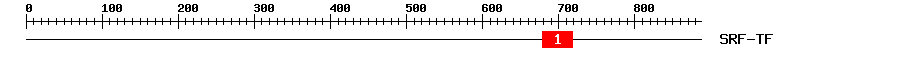 Signature Domain
