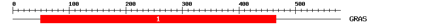 Signature Domain