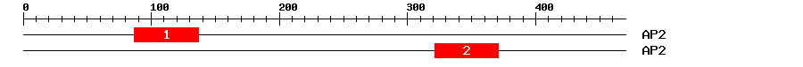Signature Domain