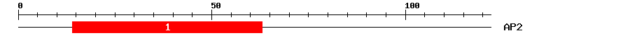 Signature Domain