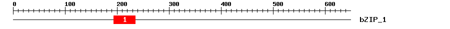 Signature Domain