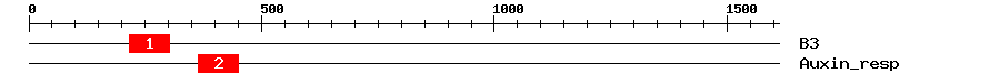 Signature Domain