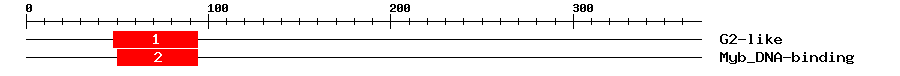 Signature Domain