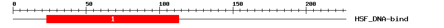 Signature Domain