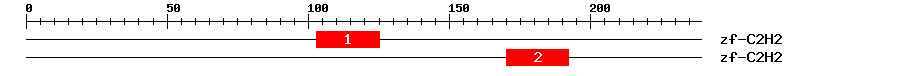Signature Domain