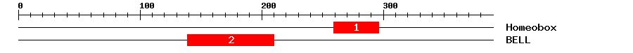 Signature Domain