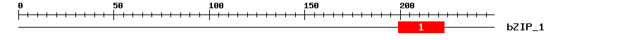 Signature Domain