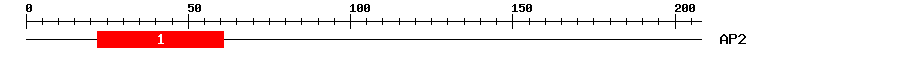 Signature Domain