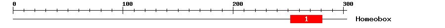 Signature Domain