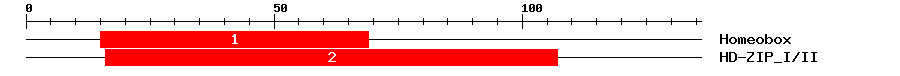 Signature Domain