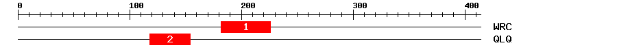 Signature Domain