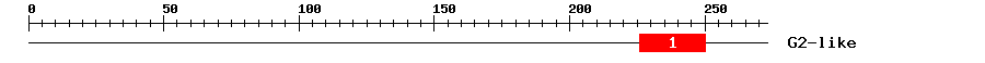 Signature Domain