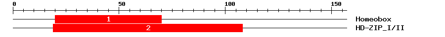 Signature Domain