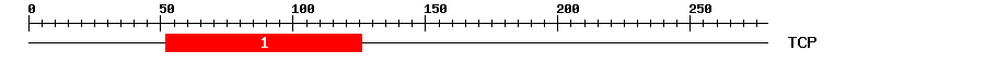 Signature Domain