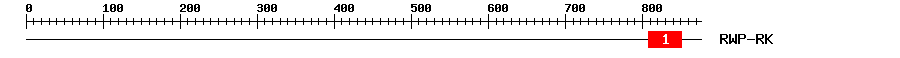 Signature Domain