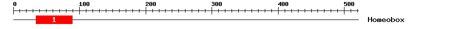 Signature Domain