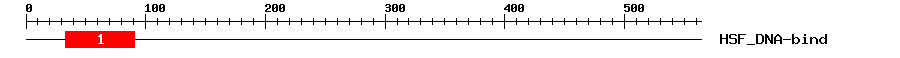 Signature Domain