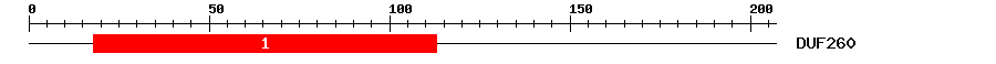 Signature Domain
