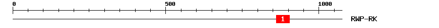 Signature Domain