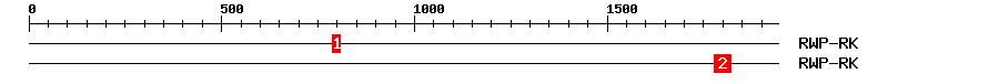 Signature Domain
