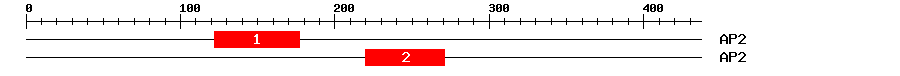 Signature Domain
