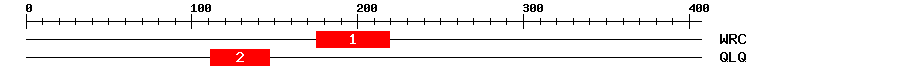 Signature Domain