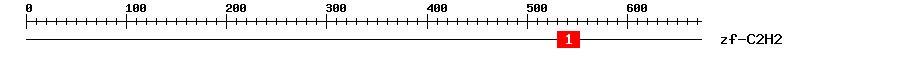 Signature Domain