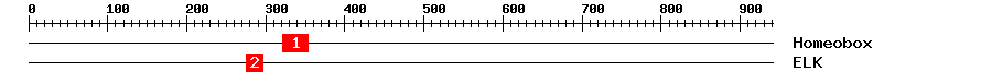 Signature Domain
