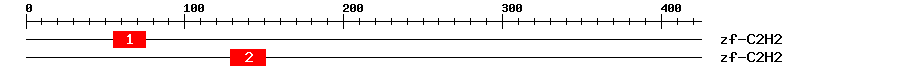 Signature Domain
