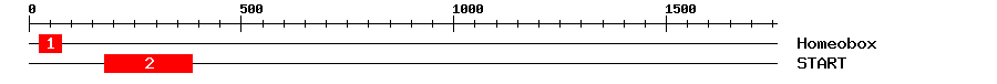 Signature Domain