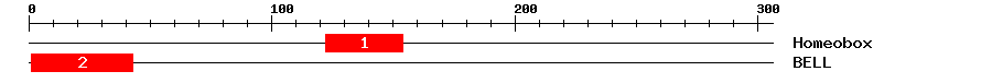 Signature Domain