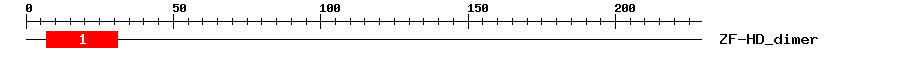 Signature Domain