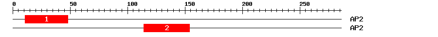 Signature Domain