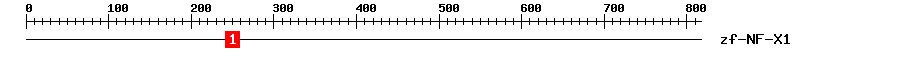 Signature Domain