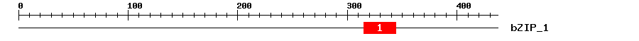 Signature Domain