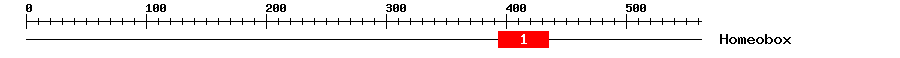 Signature Domain
