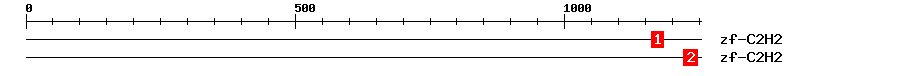 Signature Domain