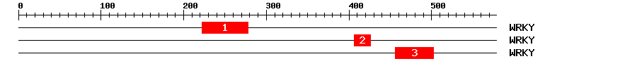 Signature Domain