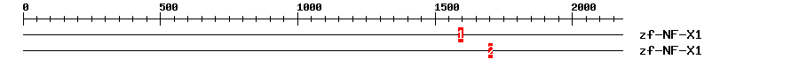 Signature Domain