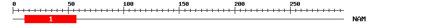 Signature Domain