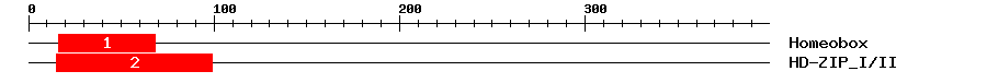 Signature Domain