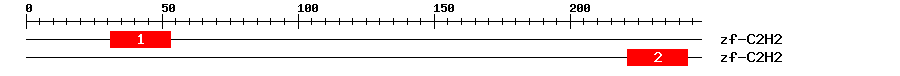 Signature Domain