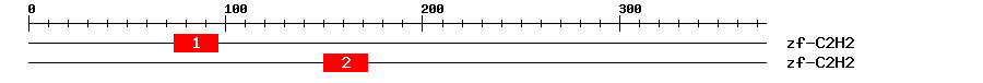 Signature Domain